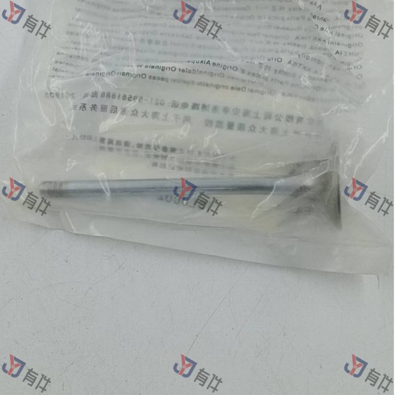 053109611 | 大众 排气门 4s库存件