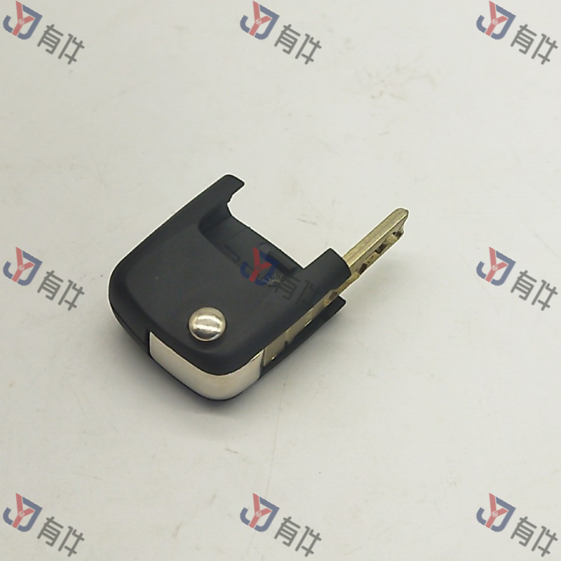 1Z0837246CINB | 大众 主钥匙(成品) 4s库存件