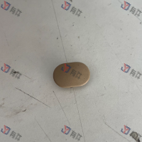 3B58634997G8 | 大众 盖罩(纯米色) 4s库存件