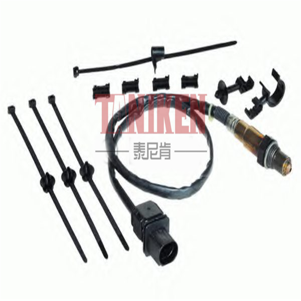 奥迪 A5 2019款 Coupe 45 TFSI quattro 运动型 国V(CYR) 泰尼肯 TNK-0704008 氧传感器  