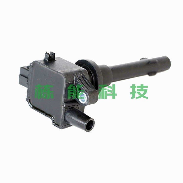 陕汽通家 福家 2014款 1.0L-6400B标准型(DA465QA) 栋能科技 3214A 点火线圈  