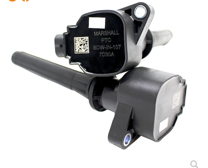 WEY P8 2018款 2.0T 尊享型(GW4C20A) OEC OEC-1101 点火线圈  