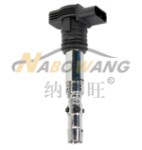 奥迪 S4 2022款 S4 3.0TFSI(CWG) 纳搏旺 NBW-6213E 点火线圈  