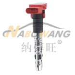 奥迪 S4 2022款 S4 3.0TFSI(CWG) 纳搏旺 NBW-6216 点火线圈  