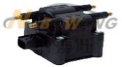 力帆 力帆枫叶80V 2021款 优行版 纳搏旺 NBW-6906 点火线圈  