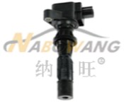 福特 F-150 2013款 3.5T Limited 纳搏旺 NBW-6913 点火线圈  